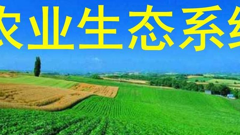 家庭农场主必备：种植技术培训课程全解析**