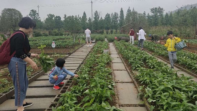 生鲜配送损耗控制：成本计算的五大关键点