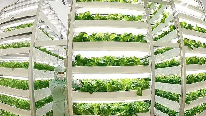 种植培训，掌握新技能的“黄金时间