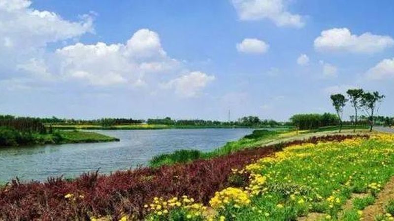 水培蔬菜加盟代理：揭秘高效农业新趋势