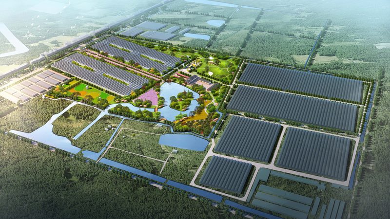 农产品线上线下融合：流程揭秘与趋势展望
