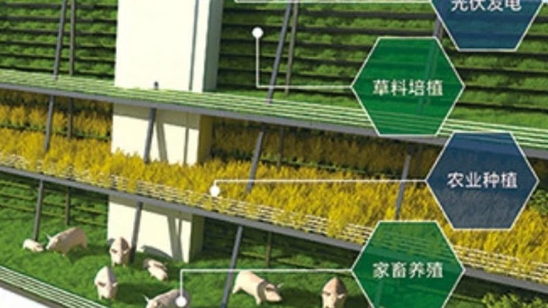 种植合作社：经营范围与销售类目解析
