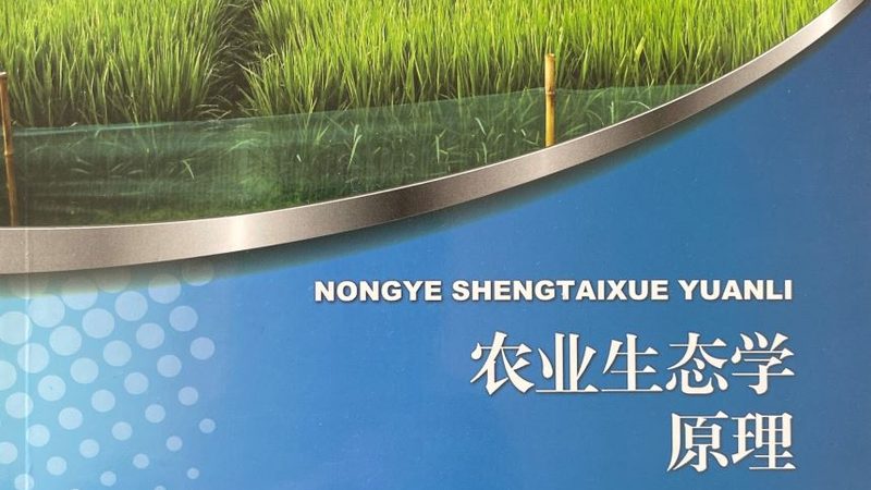 粮食种植定制方案：分类与选择之道