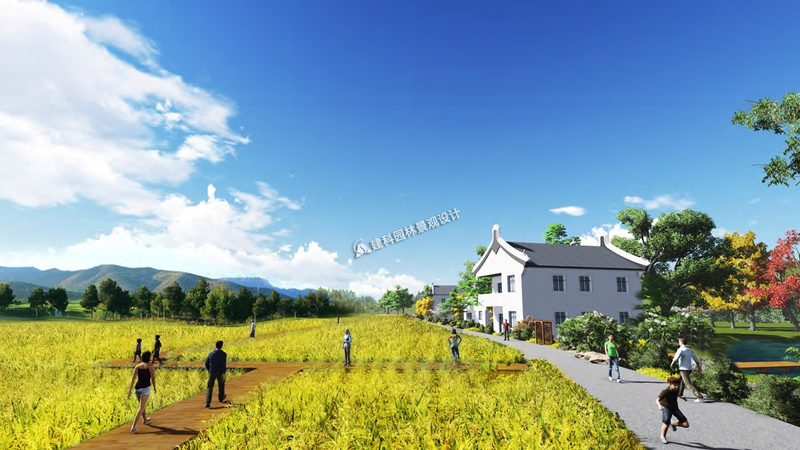 合作社如何让农户种植项目真正落地见效