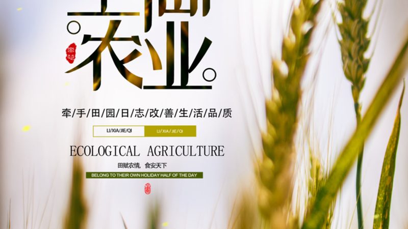 设施农业灌溉，如何选择更优方案？**