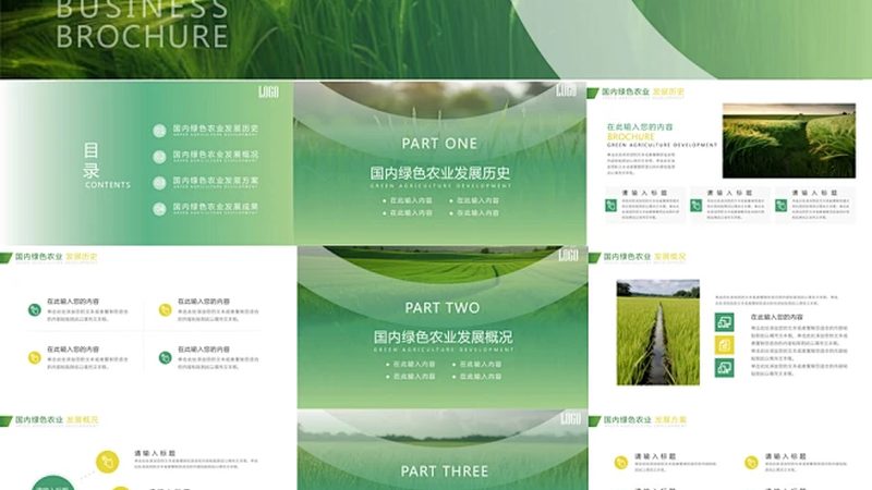 农产品追溯平台：构建食品安全新防线